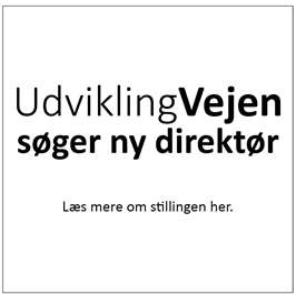 søger direktør